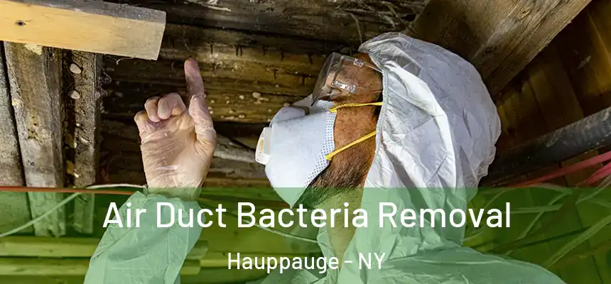  Air Duct Bacteria Removal Hauppauge - NY