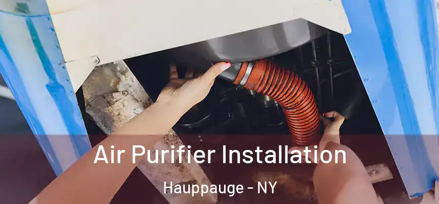  Air Purifier Installation Hauppauge - NY