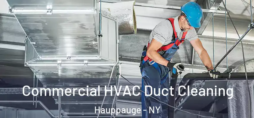  Commercial HVAC Duct Cleaning Hauppauge - NY