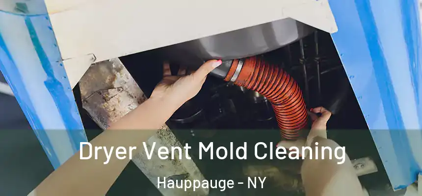 Dryer Vent Mold Cleaning Hauppauge - NY