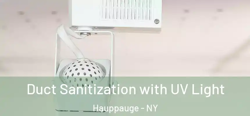 Duct Sanitization with UV Light Hauppauge - NY