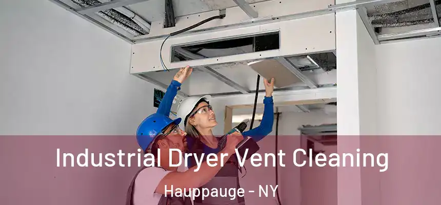  Industrial Dryer Vent Cleaning Hauppauge - NY