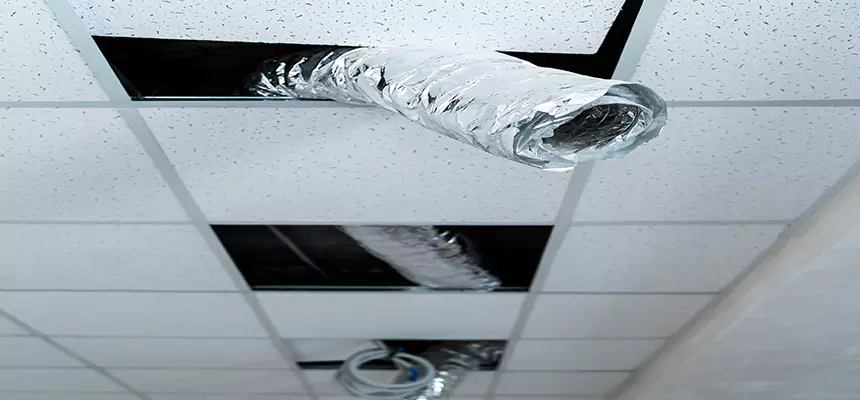 Our Air Duct Pet Hair Removal Services in Hauppauge, NY