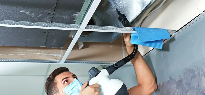 Our Air Duct Rodent Removal Services in Hauppauge, NY
