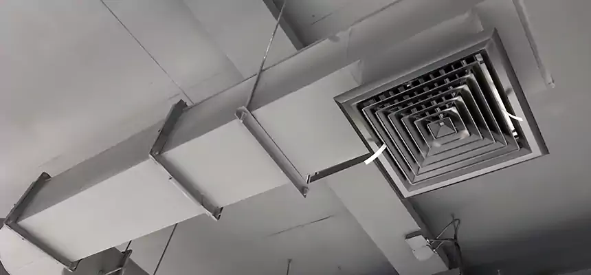 Our Pest Removal From Ducts Services in Hauppauge, NY