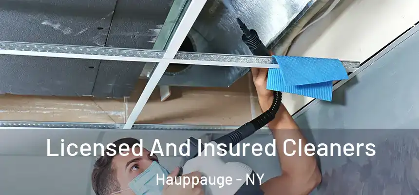  Licensed And Insured Cleaners Hauppauge - NY
