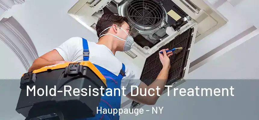 Mold-Resistant Duct Treatment Hauppauge - NY