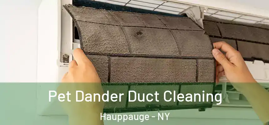 Pet Dander Duct Cleaning Hauppauge - NY