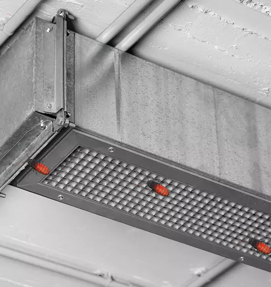 Affordable Insect Removal from Air Ducts in Hauppauge, NY
