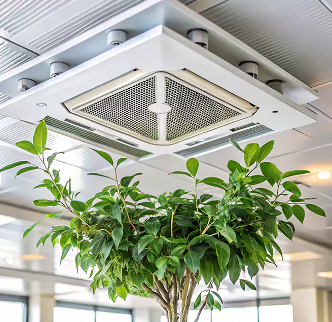 Why Homeowners & Businesses Trust Us in Hauppauge, NY?