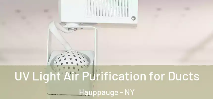 UV Light Air Purification for Ducts Hauppauge - NY
