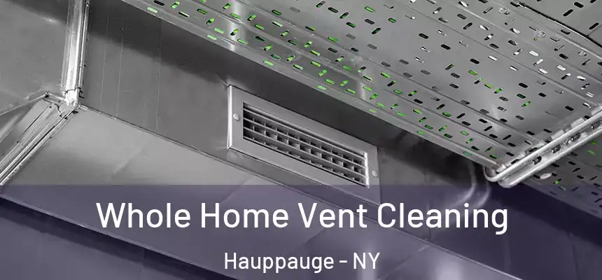 Whole Home Vent Cleaning Hauppauge - NY